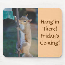 Hang in There, Squirrel on Bird Feeder Mousepads