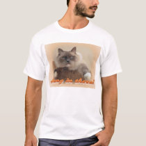 Hang in there! t-shirts