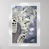 Hangin' Around....(w/border) Print