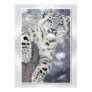 Hangin' Around....(w/border) Print
