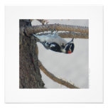 Hangin Out by Leslie Peppers photography