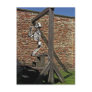 Hanging Around Post Card
