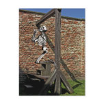 Hanging Around Post Card