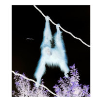 Hanging Around posters