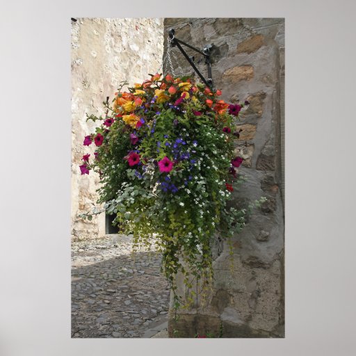 Hanging Basket Print
