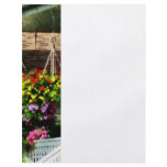 Hanging Baskets flyers