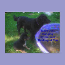 Hanging By the pool Thinking of you postcards