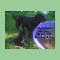 Hanging By the pool Thinking of you postcards