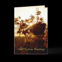 Hanging Garden Sun Twinkle Greeting Card cards