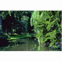 Hanging Gardens Cut Out
