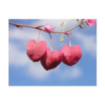 Hanging_hearts flower postcard by design_girl Hanging_hearts flower postcard