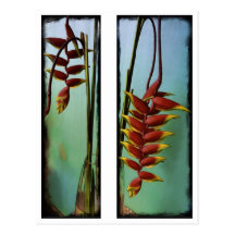 Hanging Heliconia Diptych Post Card