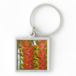 Hanging Heliconia, Weekly Tuesday fruit &amp; Keychains