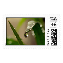 Hanging in there postage by Rainmountain Hanging in there postage