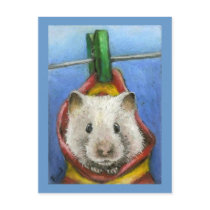 Hanging in there postcard by tanyabond Hanging in there postcard