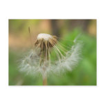 Hanging in there post card
