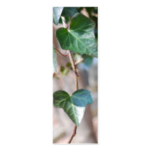 Hanging Ivy Business Card Templates