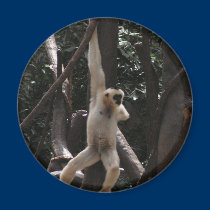 Hanging Monkey magnets