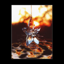 Hanging on a Star Postcard by webgrrl Hanging on a Star Postcard