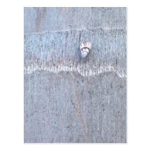 Hanging On Post Card