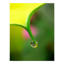 Hanging On posters by beverlytazangel Hanging On posters