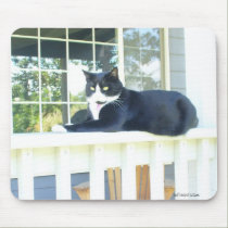 Hanging Out Mousepad mousepads