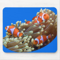Hanging Out with Clown Fish Mouse Pads