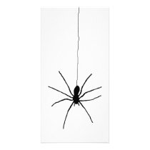 Hanging Spider Photo Card