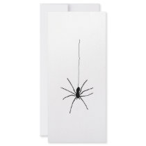 Hanging Spider Rack Card Design