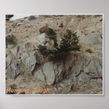 Hanging Tough Print