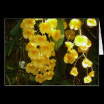 Hanging Yellow Orchids Card