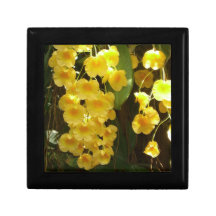 Hanging Yellow Orchids Gift Box