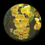 Hanging Yellow Orchids Magnet
