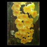 Hanging Yellow Orchids Notebook