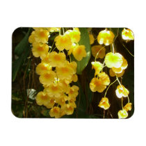 Hanging Yellow Orchids Premium Magnet