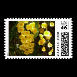 Hanging Yellow Orchids Stamps