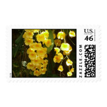 Hanging Yellow Orchids Stamps