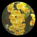 Hanging Yellow Orchids Sticker