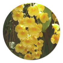 Hanging Yellow Orchids Sticker by mlewallpapers Hanging Yellow Orchids Sticker