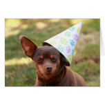 Hangover Dog in Party Hat Funny Birthday Card