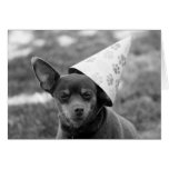 Hangover Dog in Party Hat Funny Birthday Card