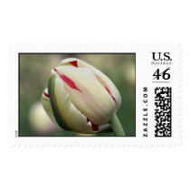 hangover postage by blacqbook hangover postage