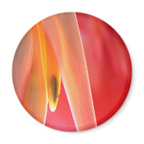hangup magnets