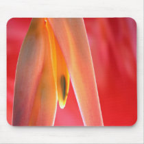 hangup mousepads