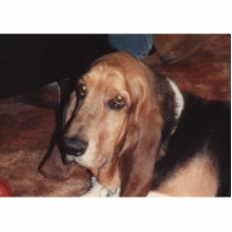 hank photo sculptures