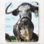 Hankerchief? | English Longhorn Cow Mousepad