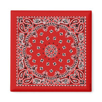 Hanky FF Magnet