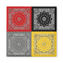 Hanky Multi Magnet