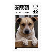 Hannah Postage