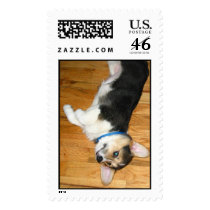 Hannah postage by junebugs Hannah postage